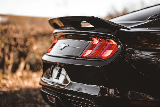 1Bet Casino Android/iOS Forrit